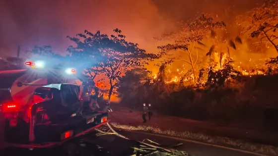 Incendios forestales en Tolima