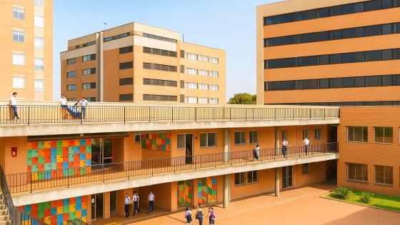 Interfaz de Mapas Bogotá mostrando colegios