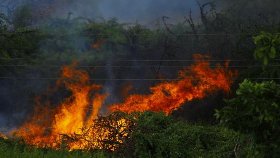 Incendios forestales en cundinamarca 