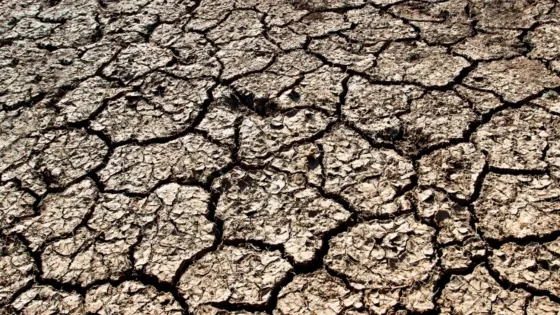 Fenómeno de El Niño 