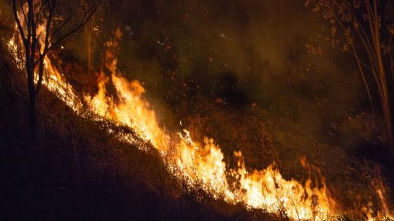 Incendio en abrego santander