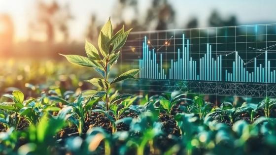 Revisoría Fiscal especializada para empresas del sector agroindustrial