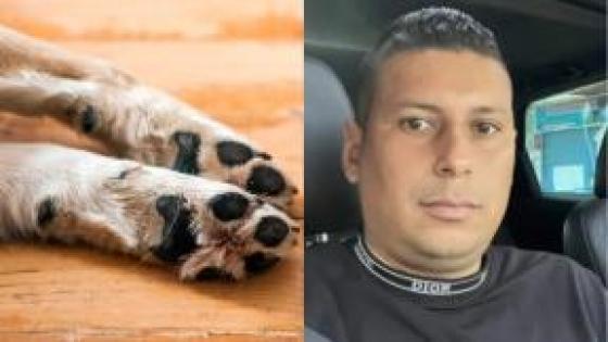 Tras la difusión de un video donde un hombre golpea y estrella a un perro contra el suelo
