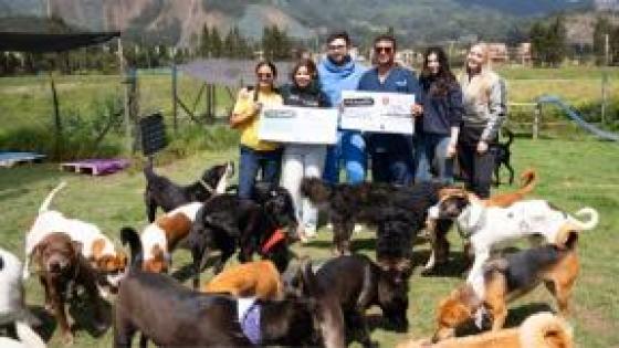 En Arkacan llegan casos de perros agresivos, enfermos y viejos. 