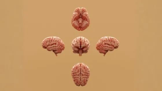 Konciencia