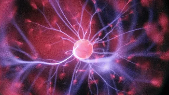 Konciencia