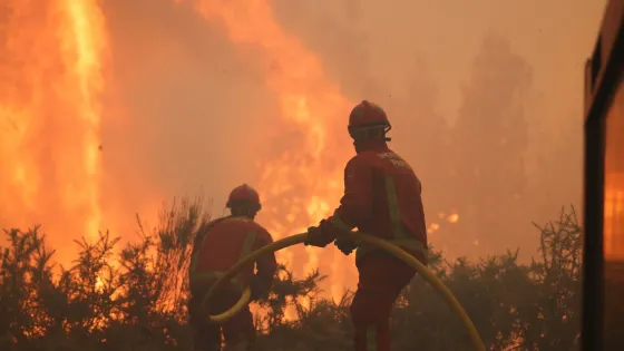 Más de 300.000 evacuados por incendios en Francia y España: esto se sabe