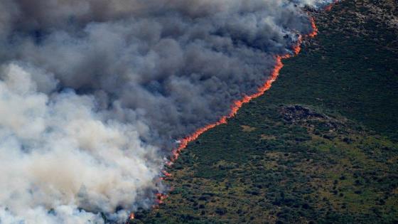 incendio