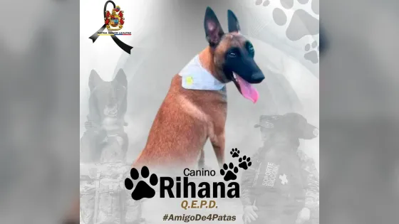Rihana