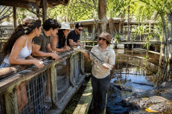 Visitantes observan de cerca un caimán durante una experiencia guiada en un parque de fauna de Florida.