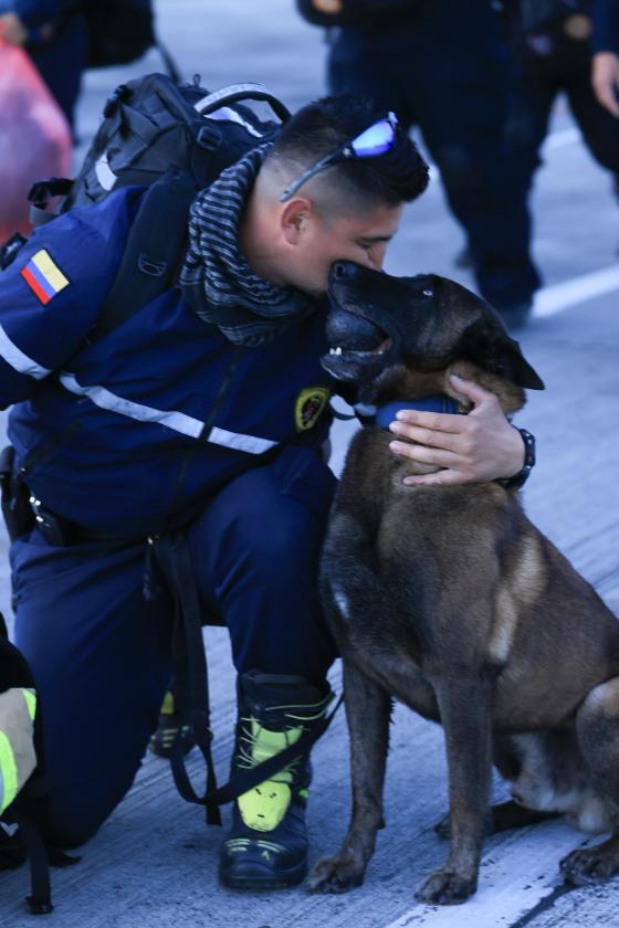 caninos rescate