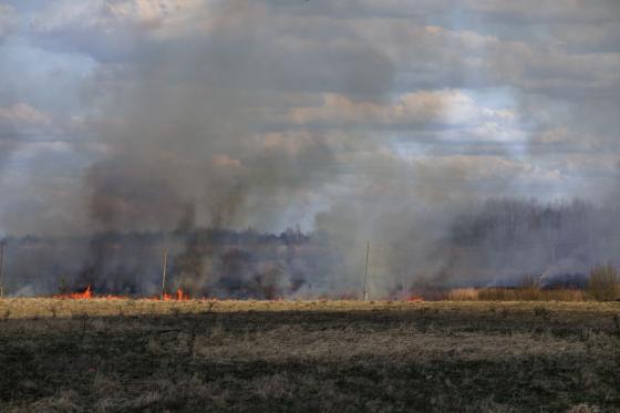 Incendio