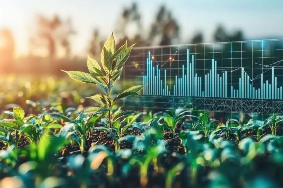 Revisoría Fiscal especializada para empresas del sector agroindustrial