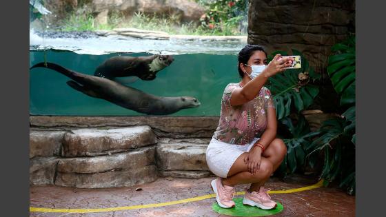 Zoológico de Cali