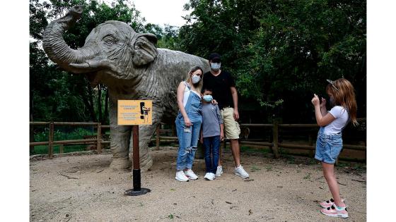 Zoológico de Cali
