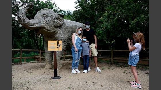 Zoológico de Cali