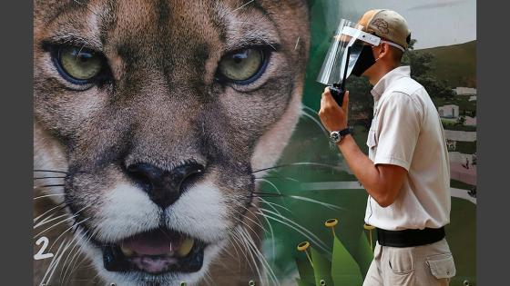 Zoológico de Cali