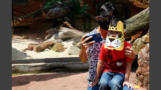 Zoológico de Cali