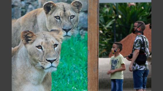 Zoológico de Cali