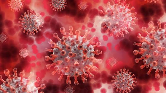 Coronavirus en Panamá