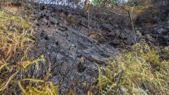 incendio cerro la bandera Cali 