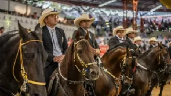 Mundial-Equina-Cali