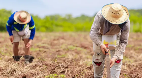 Agricultura