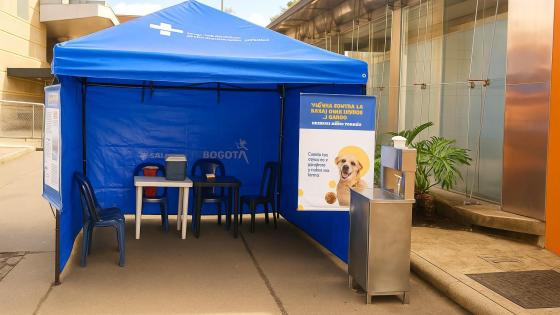 Perro y gato recibiendo vacuna en ExpoPet